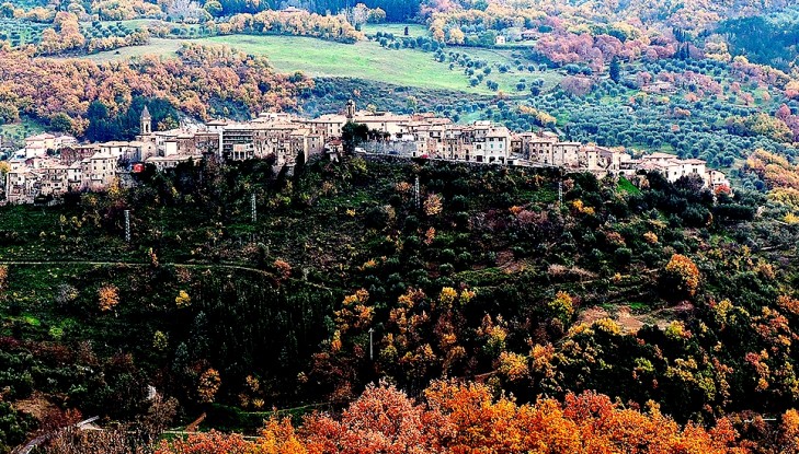 Un museo itinerante per l’olio e per l’olivo
