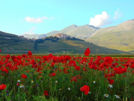 L’altopiano in fiore 