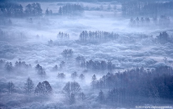 La magia della nebbia