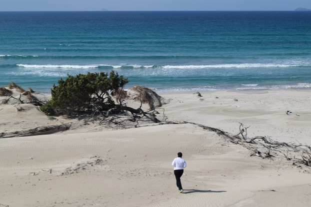 Libertà, libertà…
