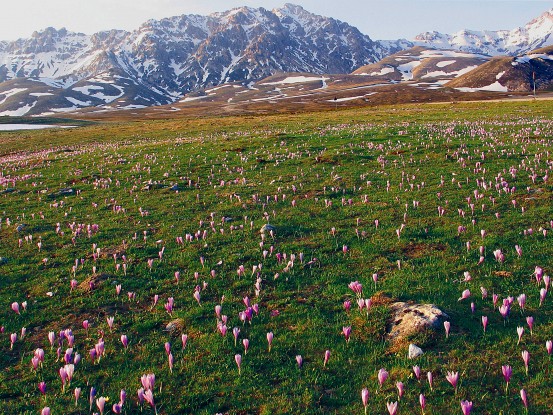 Sul Gran Sasso è primavera