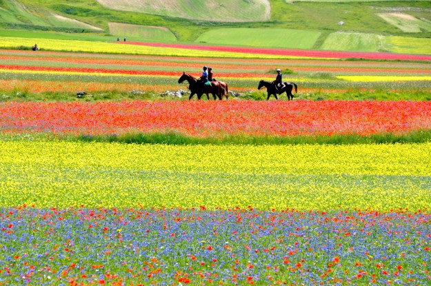 Passeggiare tra i colori
