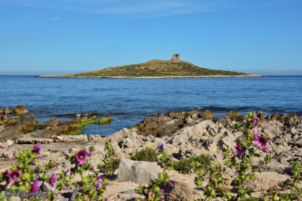 Isola delle Femmine