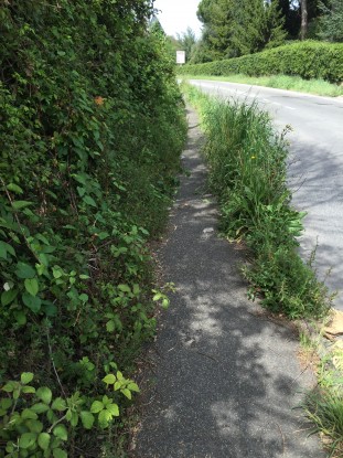 Erbacce e perdita d’acqua sulla via Appia, Roma