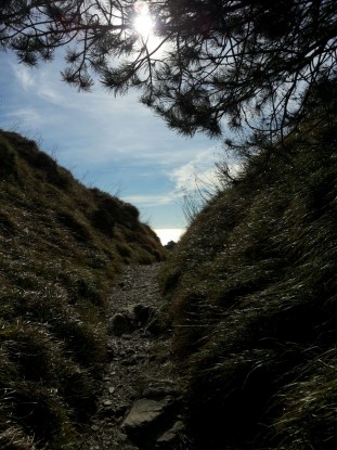 La Liguria e il suo mare