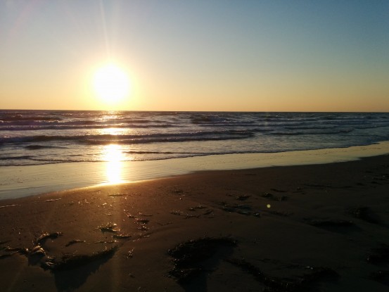 Un’alba sottomarina