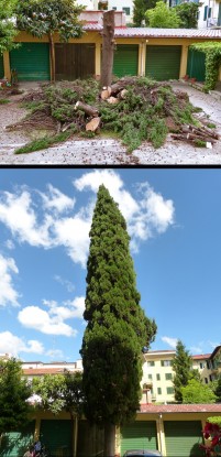 Distrutto lo splendore della natura