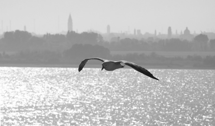 Venezia a volo d’uccello