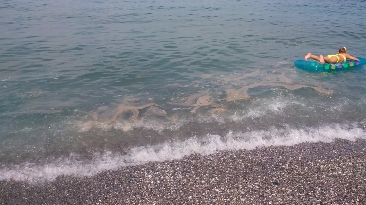 Qui schifo senza parole