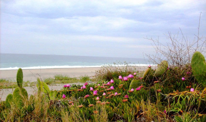 Un luogo incontaminato