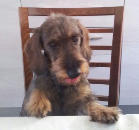 Noi, insegnanti da rottamare