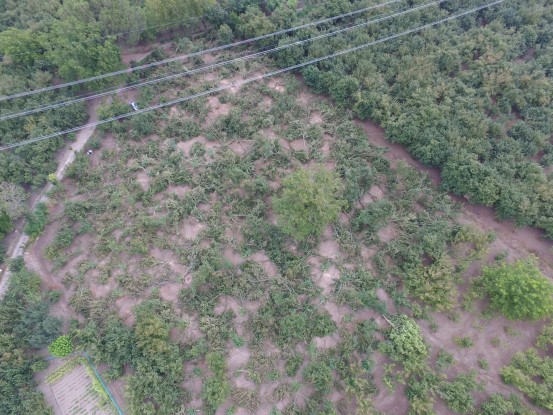 Mafie: io vittima del racket