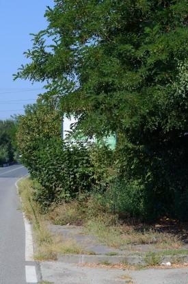 Torino, degravo a due passi dalla Juventus