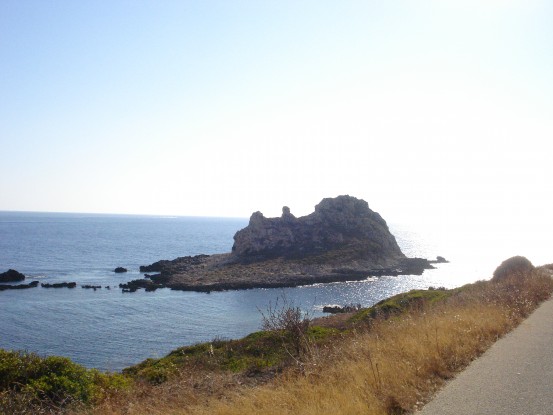 Qui dove passano i delfini