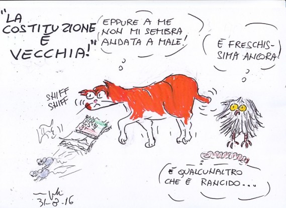 Istinto felino. #PerchéNo