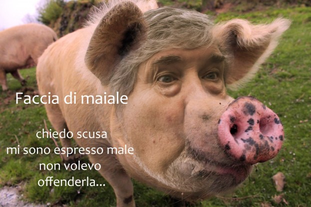 Poletti “scusate non volevo offendere” [Fotomontaggi da ridere]