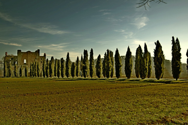 L’abbazia di San Galgano, un viaggio nel medioevo [GALLERY]