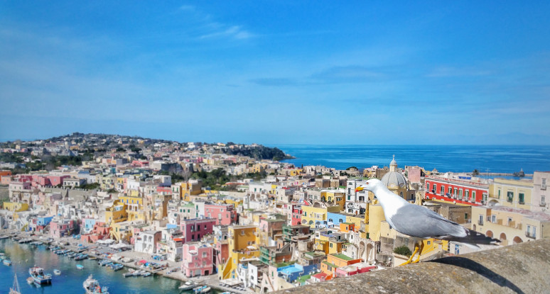 Il borgo colorato sull’isola [FOTO]