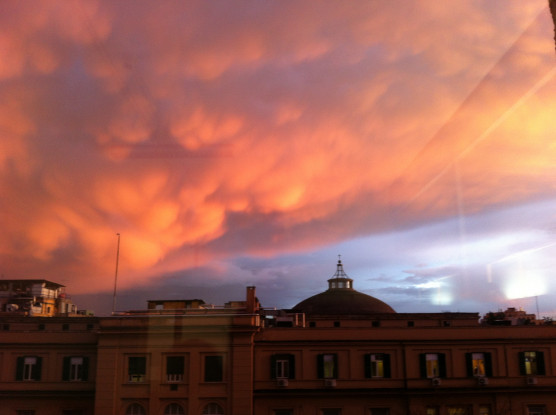 Vista dal letto di ospedale [FOTO]