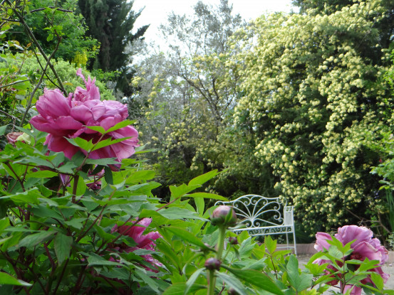 La magia della primavera [FOTO]