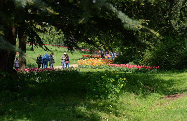 Il paese fiorito [GALLERY FOTO]