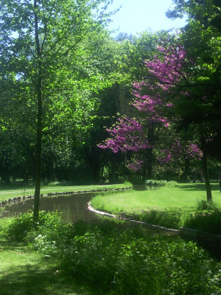 Niente da invidiare a un giardino giapponese [FOTO]