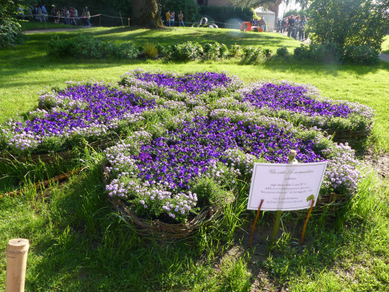 Cuori e primavera [FOTO]