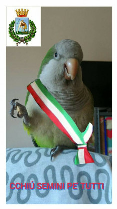 Elezioni amministrative 2017, a Policoro scegli Filippo Pennuto