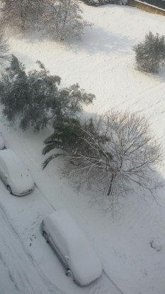 Burian nelle Marche [Foto]